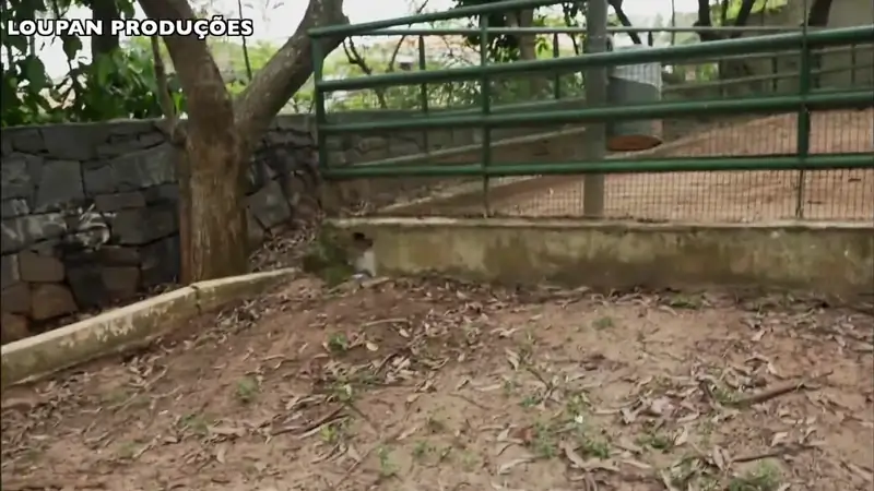 Victoria Camargo gets her holes drilled and filled with jizz