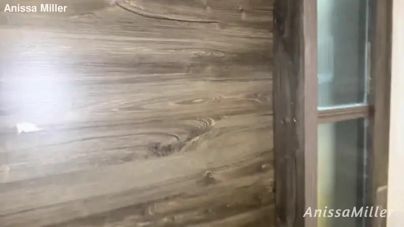 AnissaMiller Sexy Big Ass Maid Ends Up Seducing Her Boss